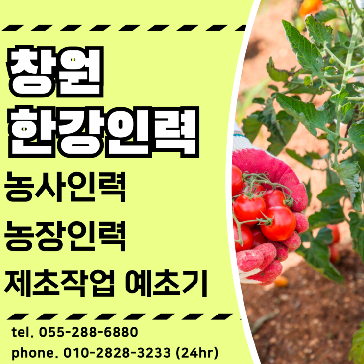  창원 인근 하우스, 과수원, 밭농사, 논농사 등 인부를 구해드립니다.