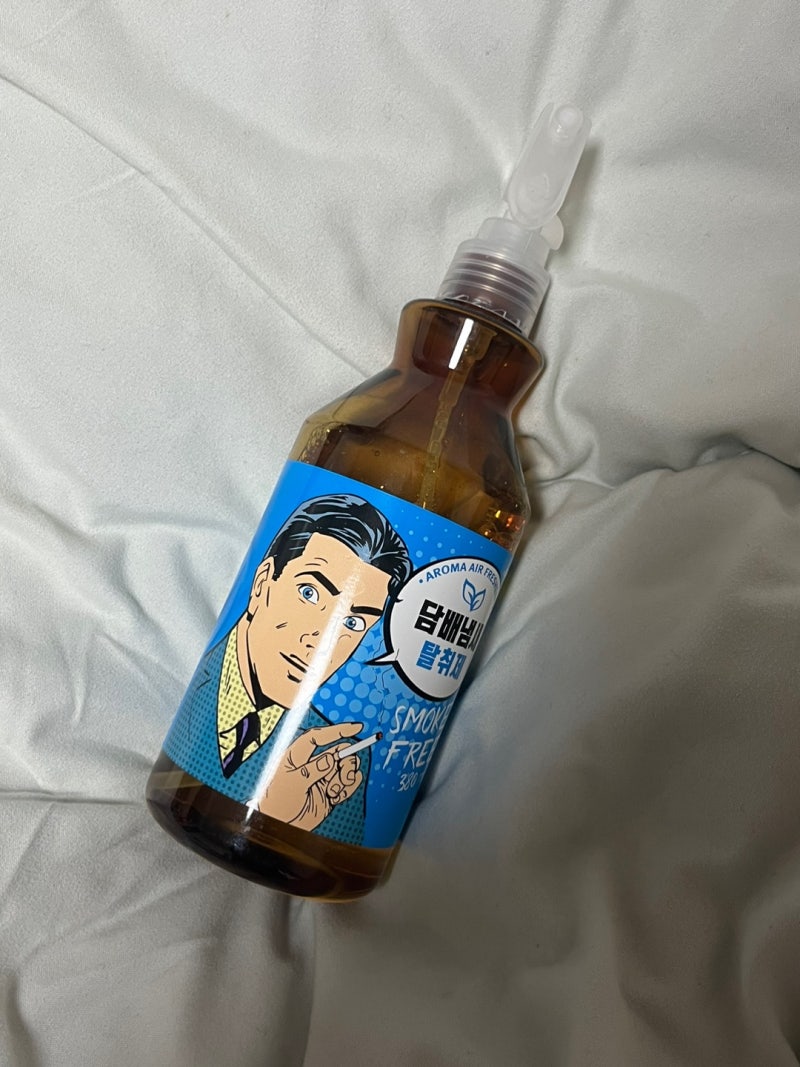 다이소 탈취제 추천 완벽하게 냄새제거 후기