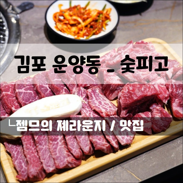 김포 소고기 맛집 숯피고, 합리적인 가격의 운양동 맛집