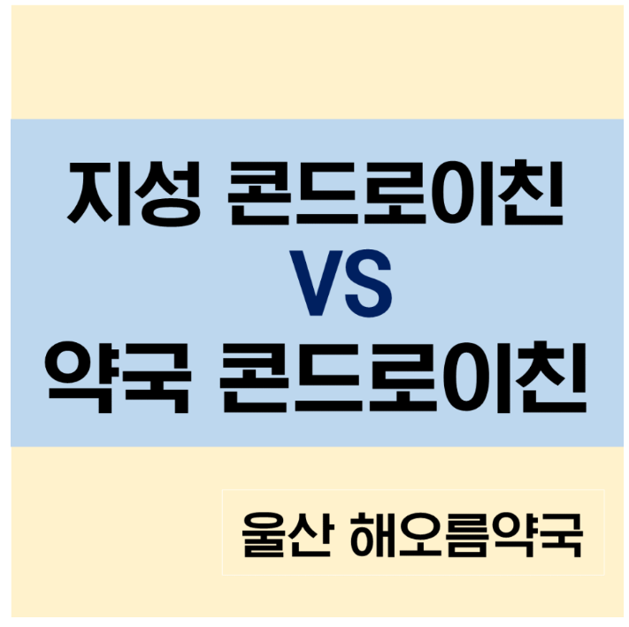 관절엔 콘드로이친 1200 지성 VS 약국 콘드로이친(소연골), 가격 효능 부작용 비교