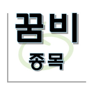  꿈비