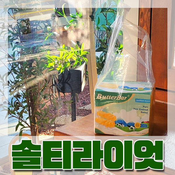  [부산/시청] 버터바 소금빵 찐 맛집 '솔티라이엇' 휴향지 느낌 솔솔 나는 예쁜 카페