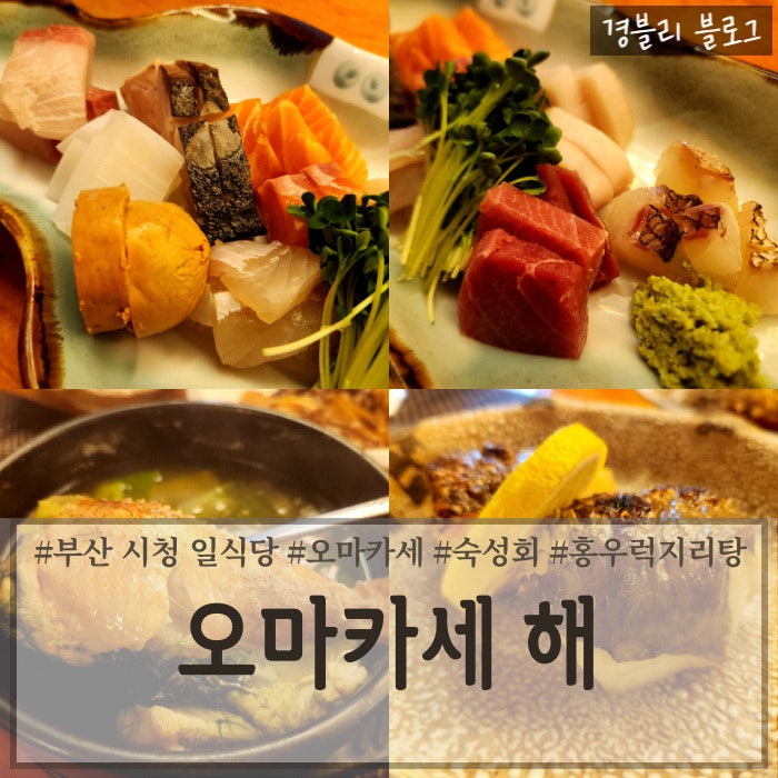  부산연제구맛집 가성비 좋은 숙성회맛집 시청역오마카세술집 '오마카세 해'