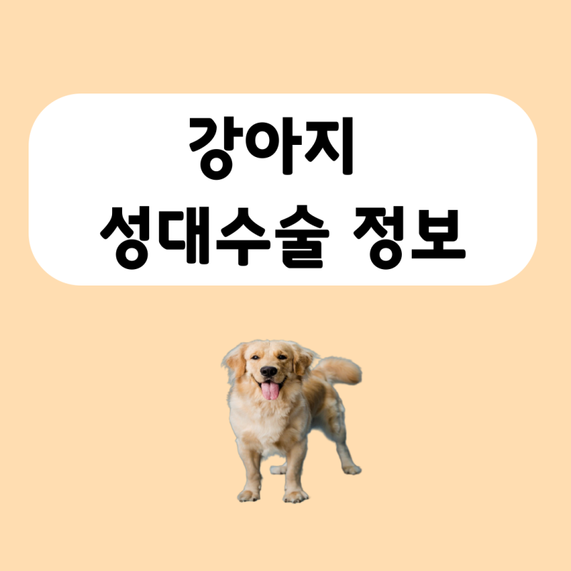 강아지 성대수술 비용 부작용
