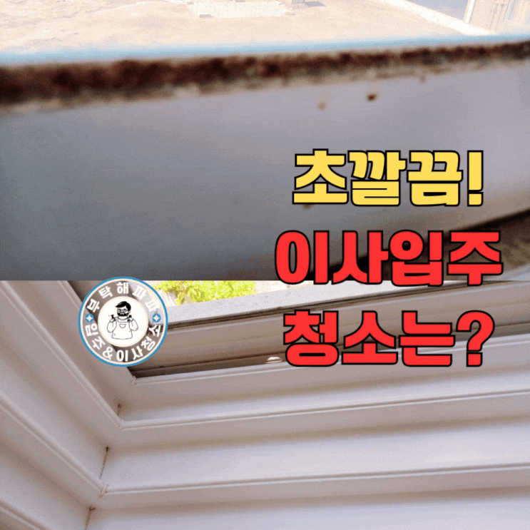  숨고 이사청소 비용 시간 전세 이사 입주청소 부탁해파파 솔직후기