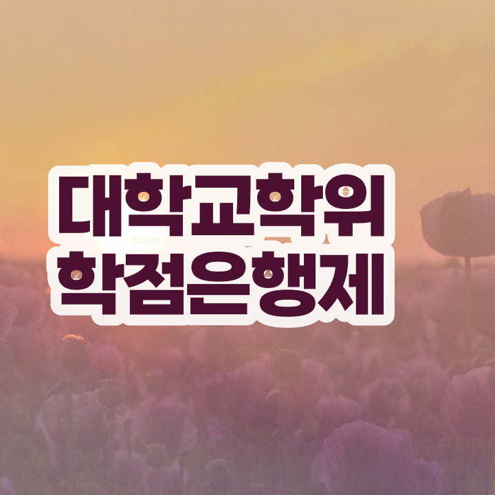  학점은행제 후기 온라인 과정 100%로 고졸 비전공자도 단기간에 완료한 후기