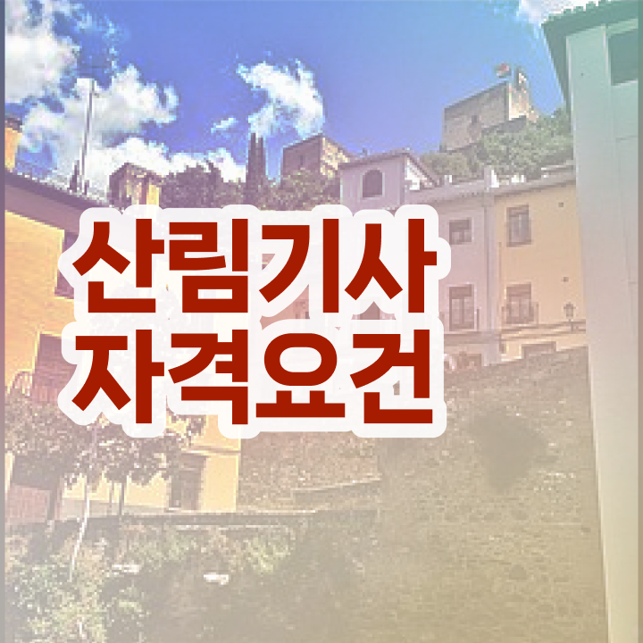  산림기사 채용 산림기사 응시조건 인강만 듣고 편하게 준비한 팁