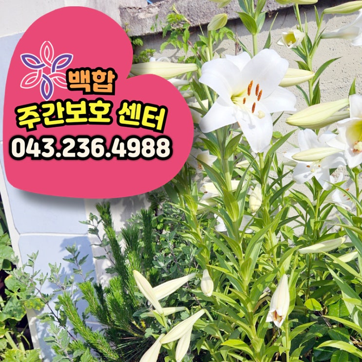  청주주간보호센터 백합에서 만나는 즐거운 음악과 활기찬 활동