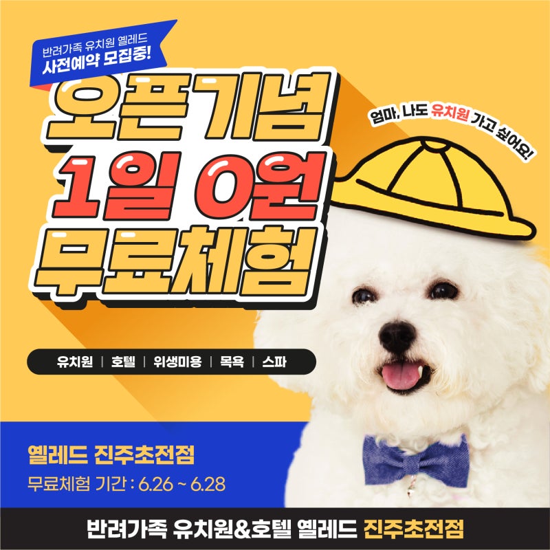 사진 5
