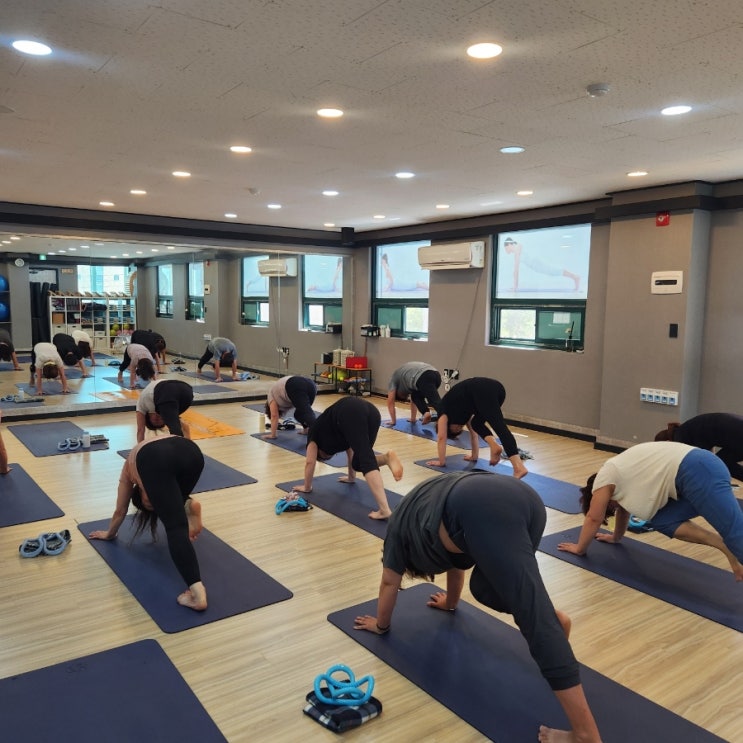  평택 포승 요가 샨티요가 후기 - 깨끗하고 쾌적한 환경에서 건강한 몸과 마음을 얻으세요!