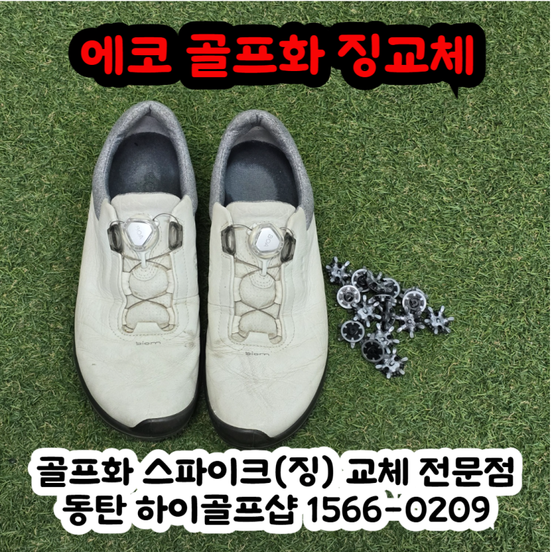 골프화 징교체 전문점 동탄 하이골프샵/ 에코 골프화 스파이크 교체