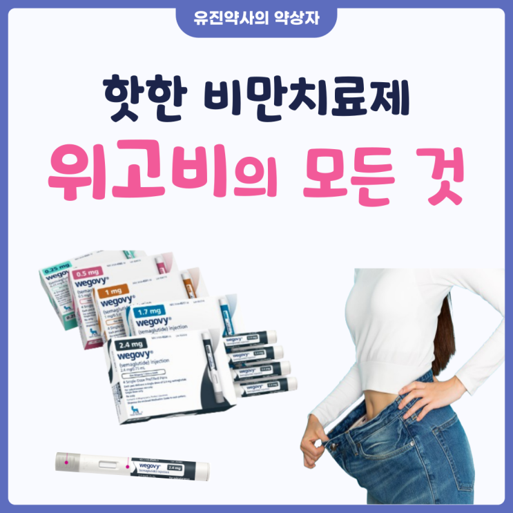  위고비 비만치료제 국내 가격 출시, 오젬픽 삭센다 비교 차이, 성분 원리