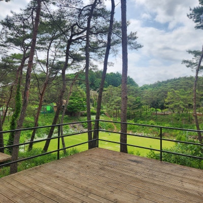 사진 2