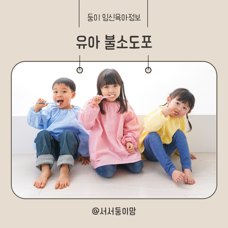  유아 불소도포 후 식사 양치 시기 가격 알아보기