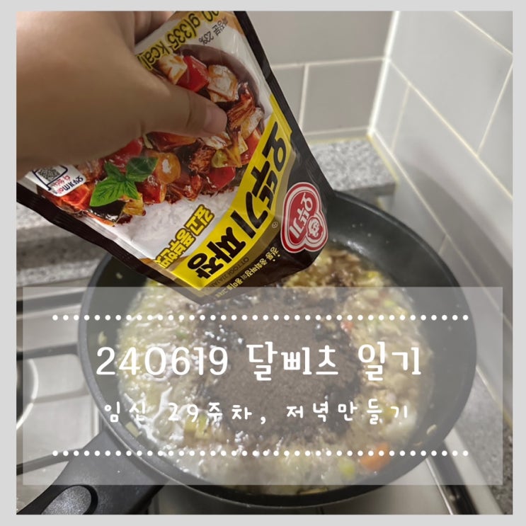  240619 달삐츠 일기 임신 29주차, 저녁만들기