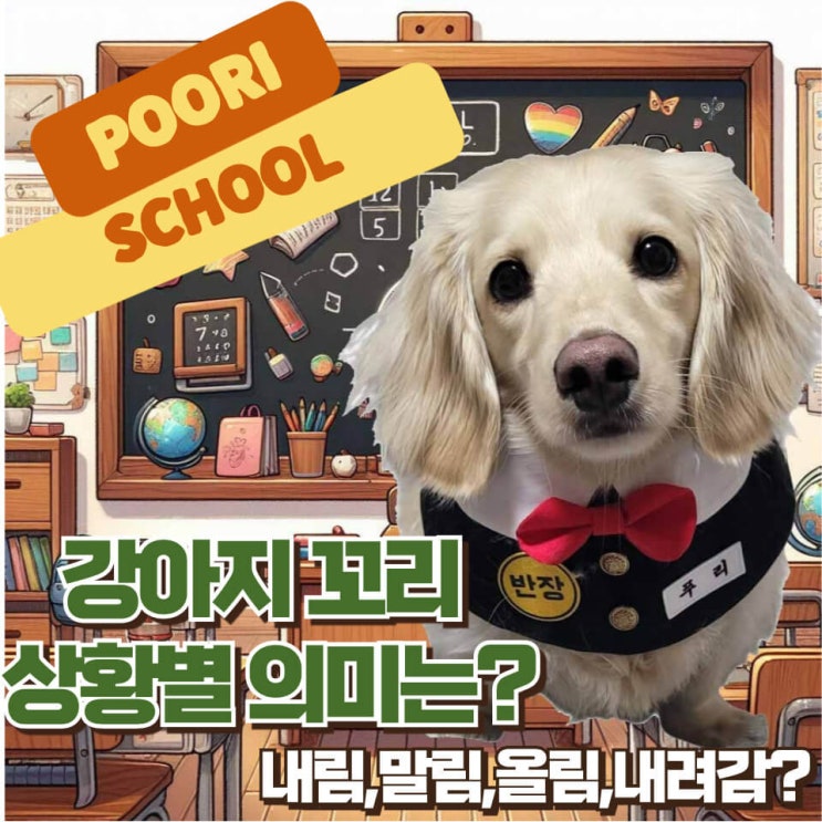 강아지 꼬리 상황별 의미와 이유 알아보기 (내림, 말림, 올림, 내려감)