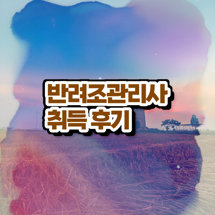  사랑앵무새키우기 , 반려조관리사 자격증 취득한 정보 짚어드려요
