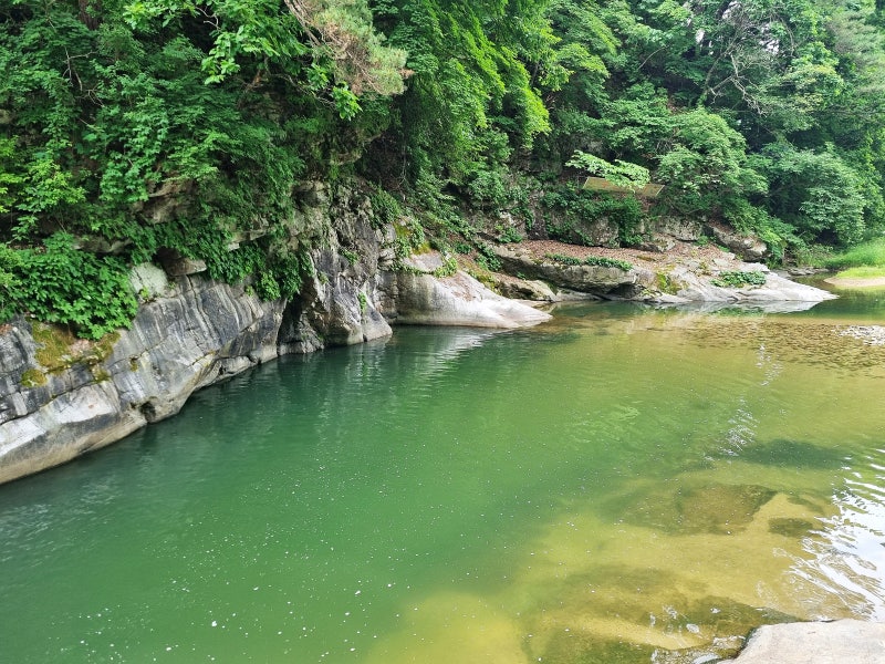 사진 3