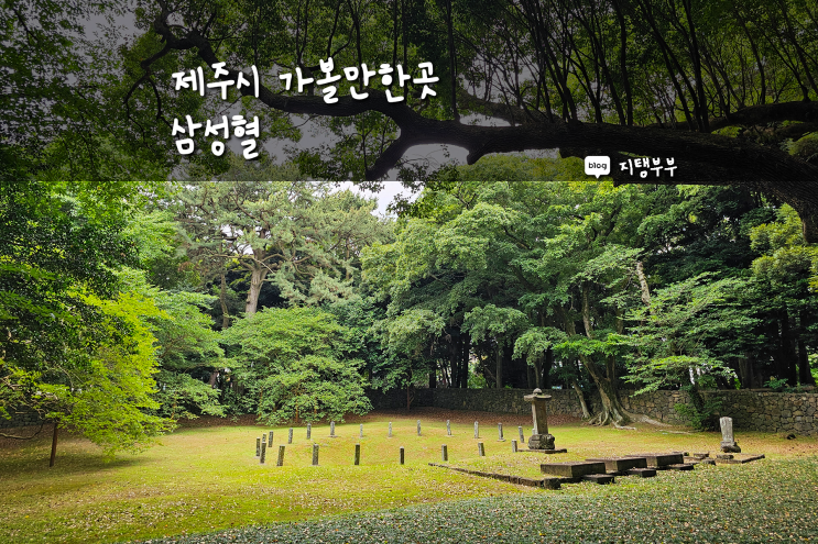  6월 제주 가볼만한곳 제주 시내에 있는 탐라국발상지 삼성혈 산책하기 좋은 명소