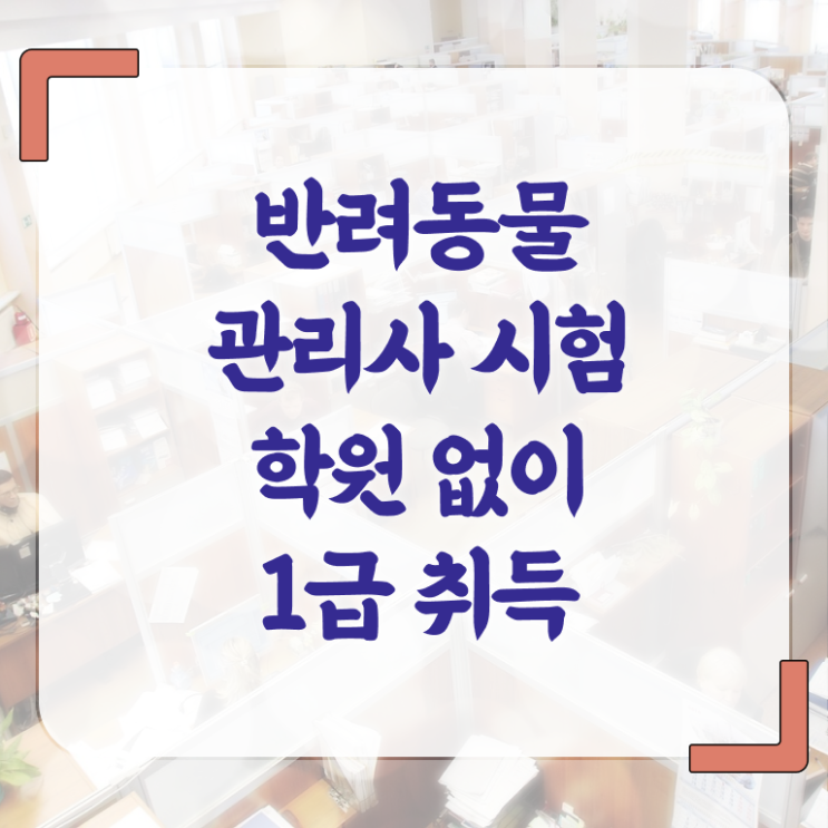  반려동물자격증종류 , 반려동물관리사 자격증 합격한 비법 알려드려요