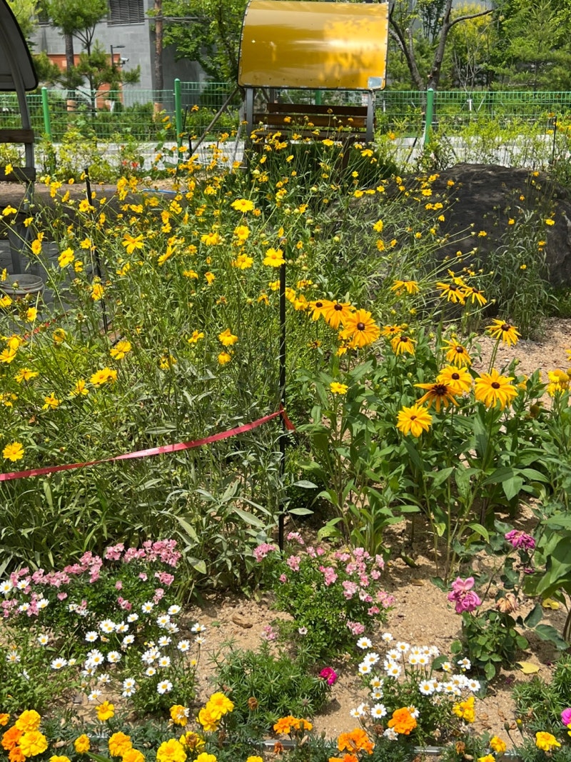 이미지 28541672