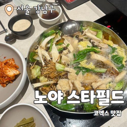  노야 : 코엑스 샤브샤브 맛집 O코스 내돈내산 후기