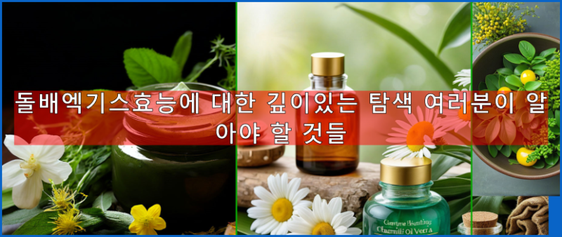 돌배엑기스효능에 대한 깊이있는 탐색 여러분이 알아야 할 것들