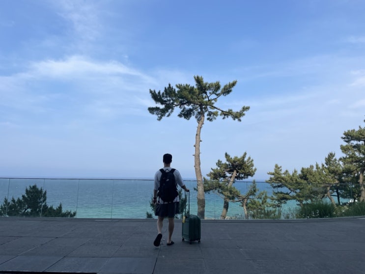  임신 19주차 강릉 태교여행 씨마크 조식 수영장 헬스장 후기