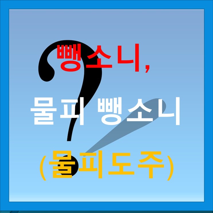 뺑소니, 물피 뺑소니(물피도주) 차이점을 알고 계시나요? 뺑소니, 물피 뺑소니(물피도주) 차이점을 알고 계시나요?