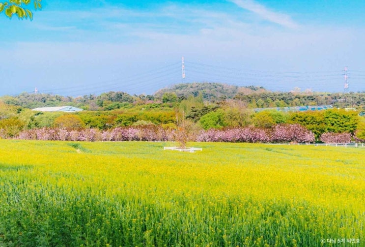  [충남/예산] 아그로랜드 태신목장 국내여행지 추천
