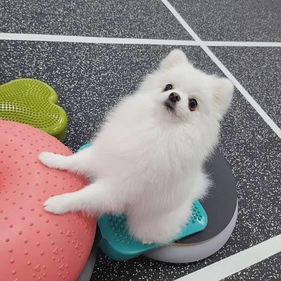 사진 2
