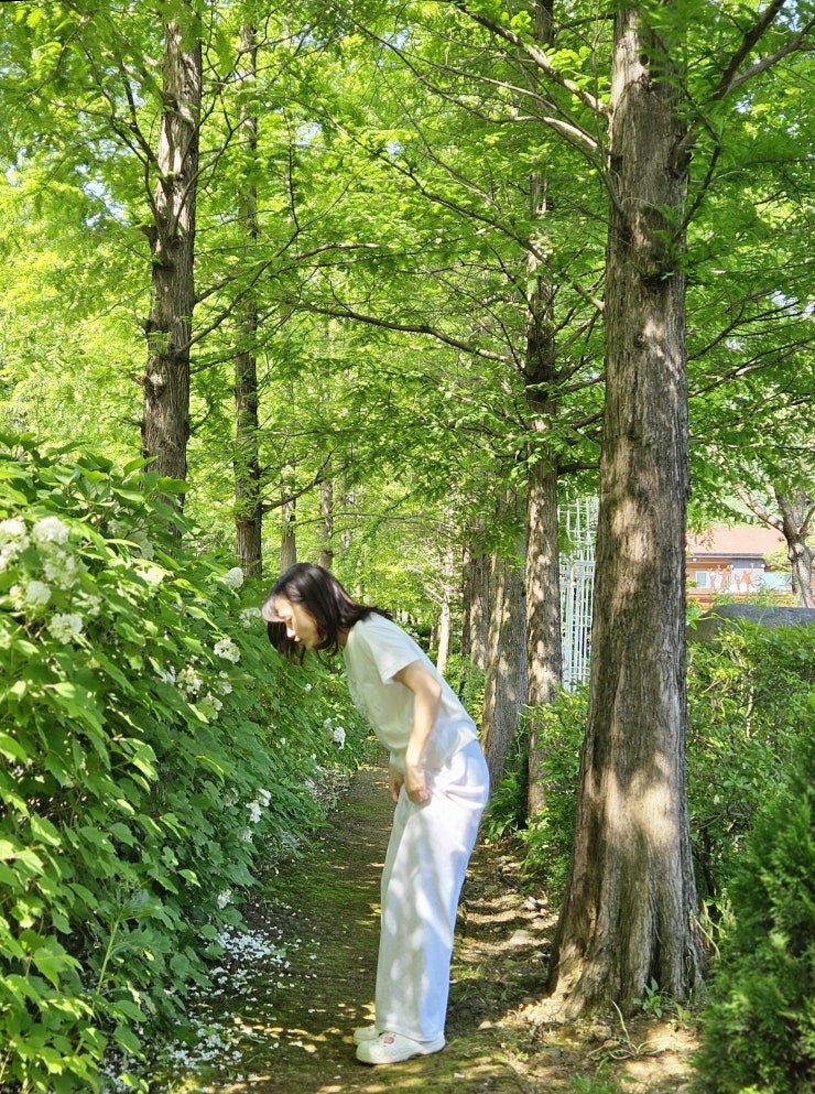  용인 다누리움 오토캠핑장 추천 숲속 마을 캠핑장