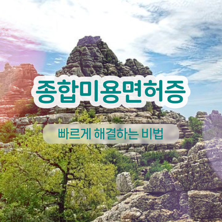  눈썹 반영구 일주일 , 눈썹 반영구 오픈 하나도 모른다면 확인해야하는 면허증은?