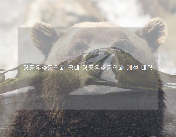 항공우주공학과 국내 항공우주공학과 개설 대학 항공우주공학과 국내 항공우주공학과 개설 대학