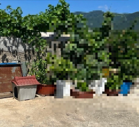  메리야, 까망아 행복하게 살아(시골동네 시고르자브종과의 이별)