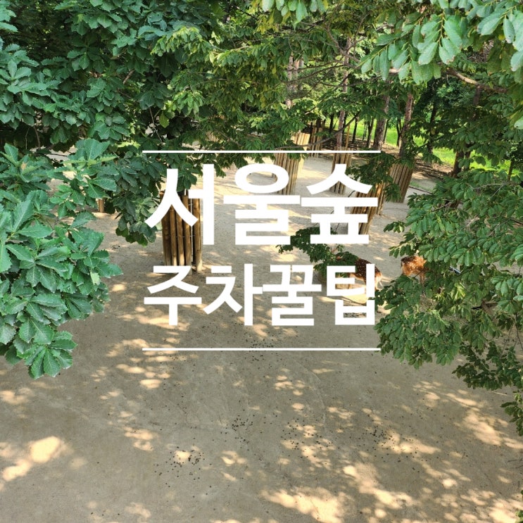  서울숲 주차장 5곳 주차 꿀팁 정리 (공영주차장, 디타워 등 주차요금 무료주차 정보)