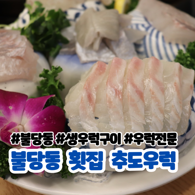  천안 불당동횟집 생우럭구이 어린이메뉴 파는 횟집 :: 추도우럭