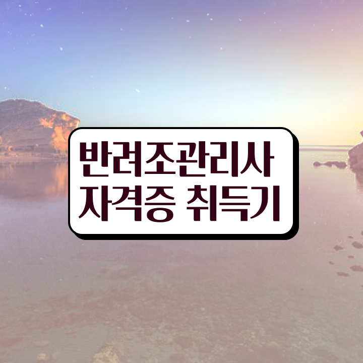  모란앵무새키우기 , 반려조관리사 자격증 15일 만에 준비한 방법 및 이후 전망