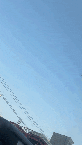  일상, 서울 러브버그 민원