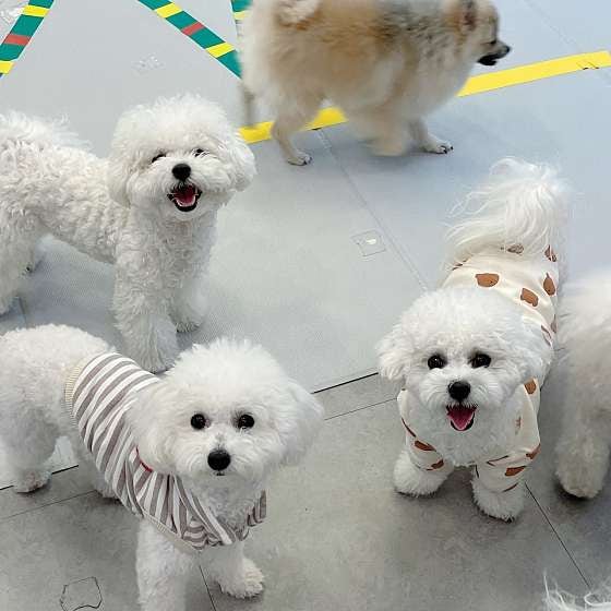 사진 3