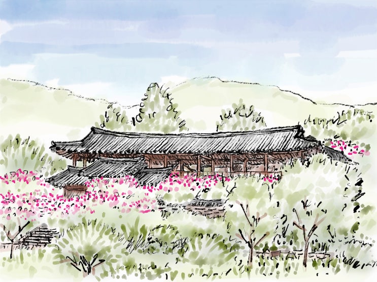  병산서원 배롱나무의 기억 -호기심건축사