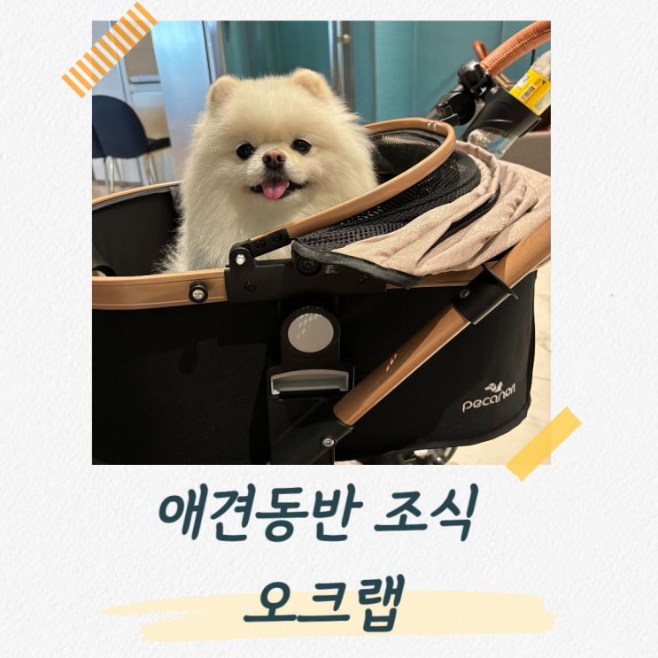  오크랩 애견동반 세인트존스 호텔 조식 후기