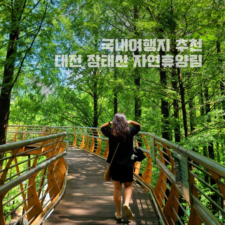  6월 7월 국내여행지 추천, 장태산 자연휴양림 계곡