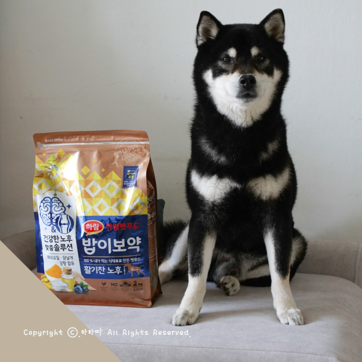  1분 1개 팔리는 강아지사료 밥이보약 사료샘플 이벤트중