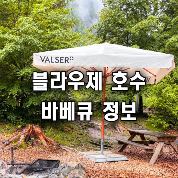  비 오는 날 스위스 여행 블라우제 호수 추천 Blausee 바베큐 정보 놀이터
