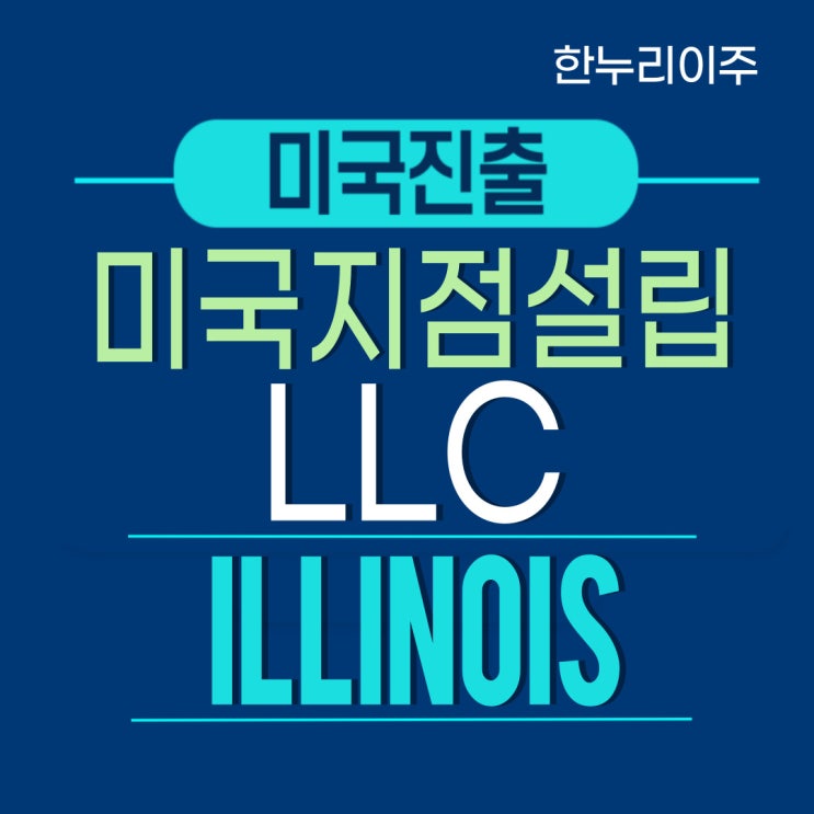  일리노이주 LLC 지점 설립