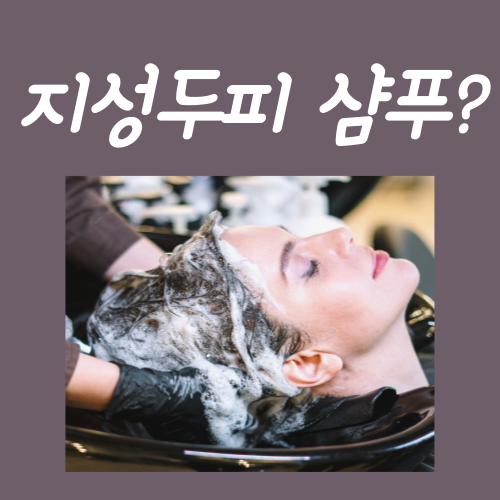  지성두피 샴푸법, 이 '3가지'만 하면 문제없습니다
