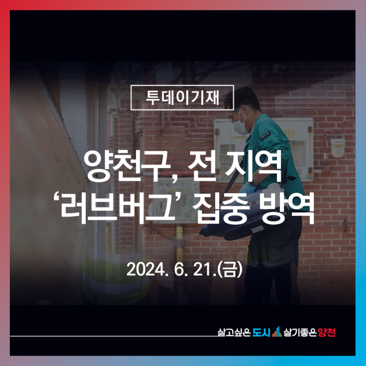 양천구, 전 지역 ‘<b>러브버그</b>’ 집중 방역