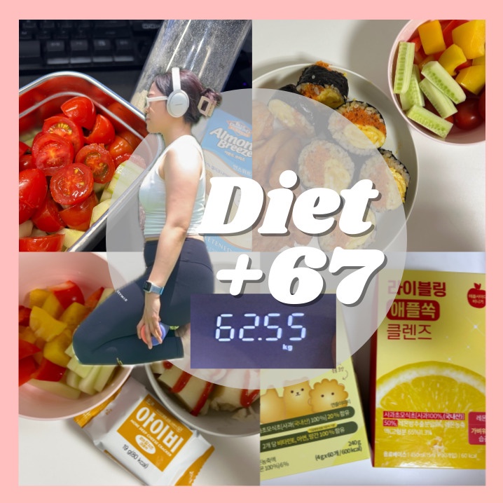  다이어트 67일차 | 다이어트는 꾸준함 just do it!!