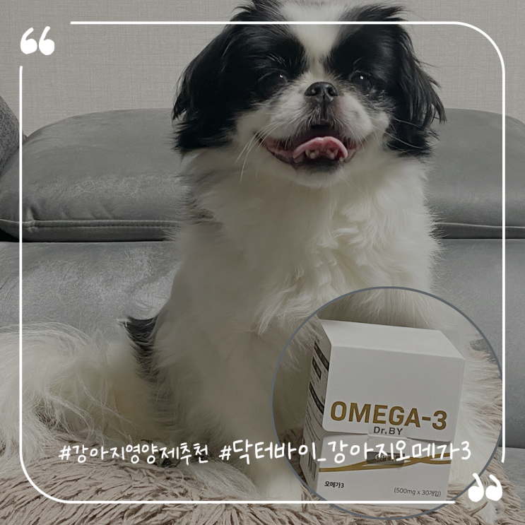  강아지오메가3추천 강아지영양제 닥터바이오메가3